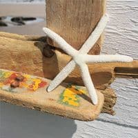Driftwood Mirror Hive Beach | Wall Mirror | Coastal Mirror