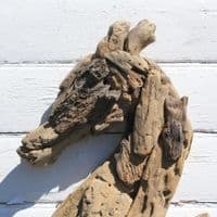 Driftwood Seahorse | Wall Hanging | Coastal Décor