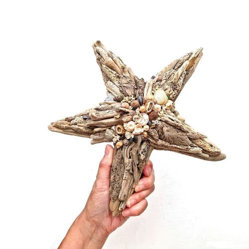 Driftwood Starfish