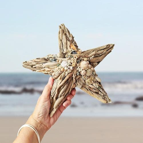 Driftwood Starfish