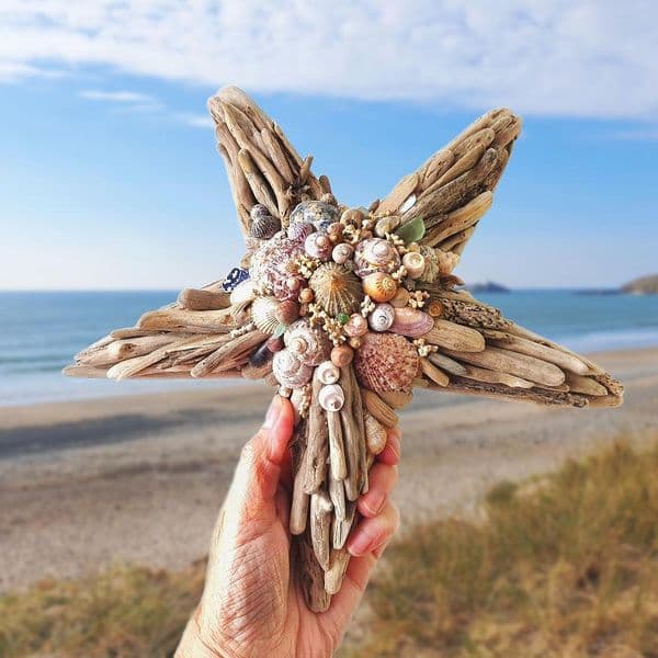 Driftwood Starfish | Rachel White