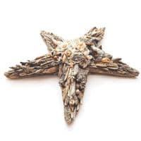 Driftwood Starfish Large |Rachel White