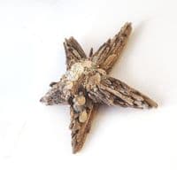Driftwood Starfish Large |Rachel White