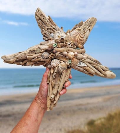 Driftwood Starfish - Large