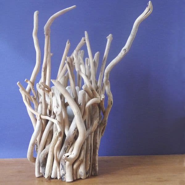 Driftwood Twig Lamps | Coastal Lighting | Driftwood Table Lamp