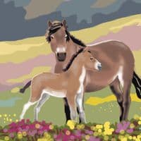 Exmoor - Art Print | Coastal Art Print | Fiona Horan