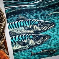 Fin to Fin Print | Chris Taylor