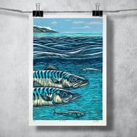 Fin to Fin Print | Chris Taylor