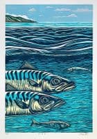 Fin to Fin Print | Chris Taylor