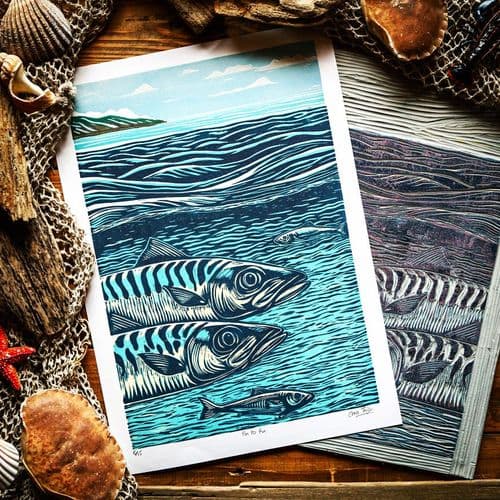 Fin to Fin - Print
