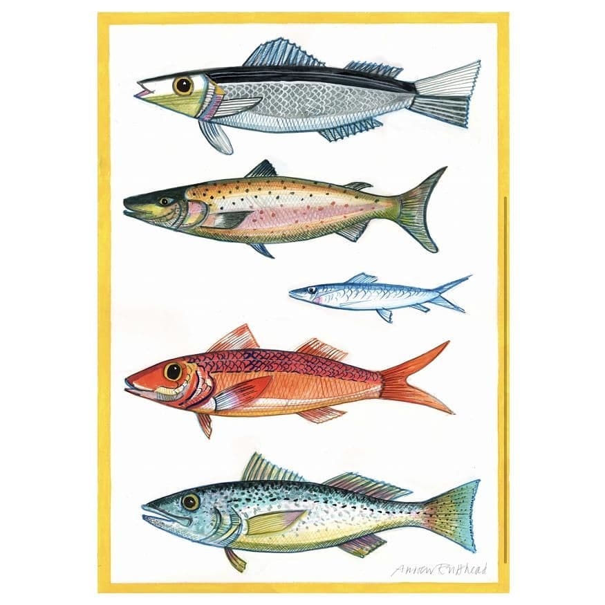 Five Fish with Yellow Border Print| A3 Print | Andrew Ruffhead