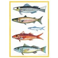 Five Fish with Yellow Border Print| A3 Print | Andrew Ruffhead