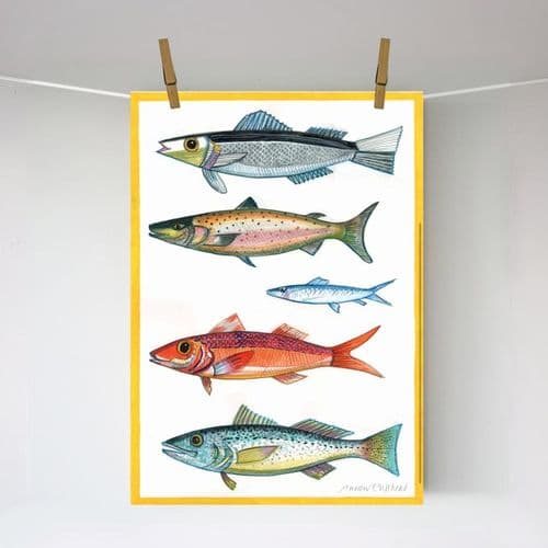 Five Fish with Yellow Border – A3 print