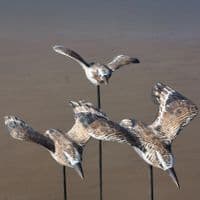 Flying Sandpipers Bird Carving | Wood Carving | Hand Carved Birds