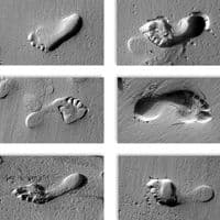 Footprints | Photo Art Canvas | Clive Sawyer