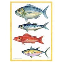 Four Fish with Yellow Border Print| A3 Print | Andrew Ruffhead