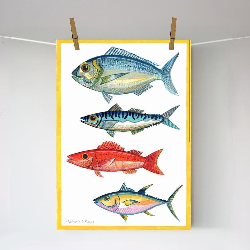 Five Fish with Yellow Border Print| A3 Print | Andrew Ruffhead