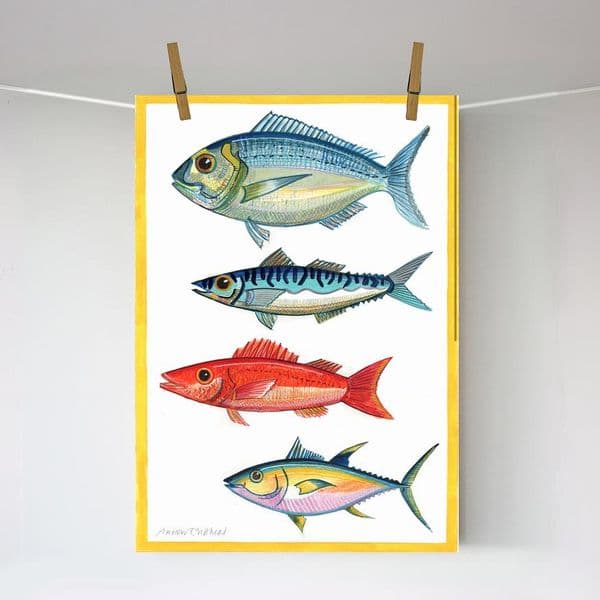 Four Fish with Yellow Border Print| A3 Print | Andrew Ruffhead