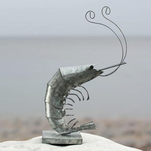 Galvanised Tin Prawn