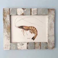 Giant Tiger Prawn | Martyn Warren | Penaeus Monodon