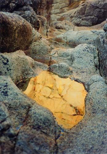 Gold Water - Coastal Card