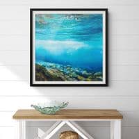 Good Day for a Swim | Fine Art Print | Nel Whatmore