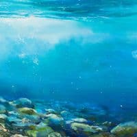 Good Day for a Swim | Fine Art Print | Nel Whatmore