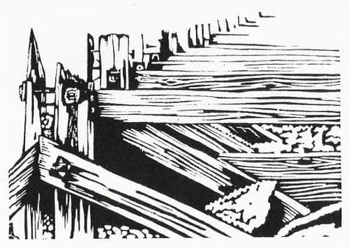 Groynes - Coastal Card