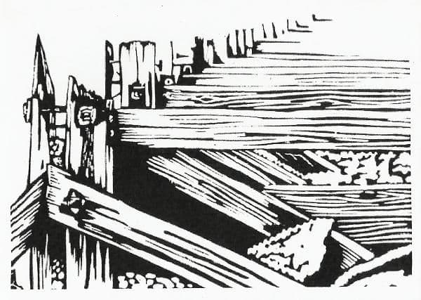 Groynes Coastal Card | Steve Duffy