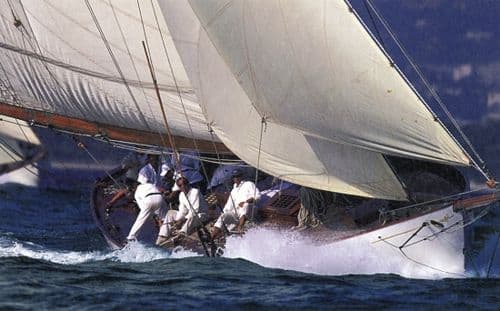 Halloween - Coastal Card