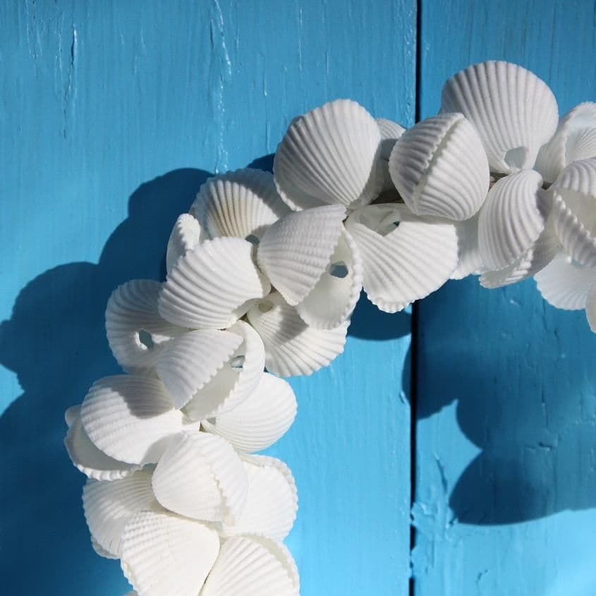 Heart Shaped Cockle Shell Wreath