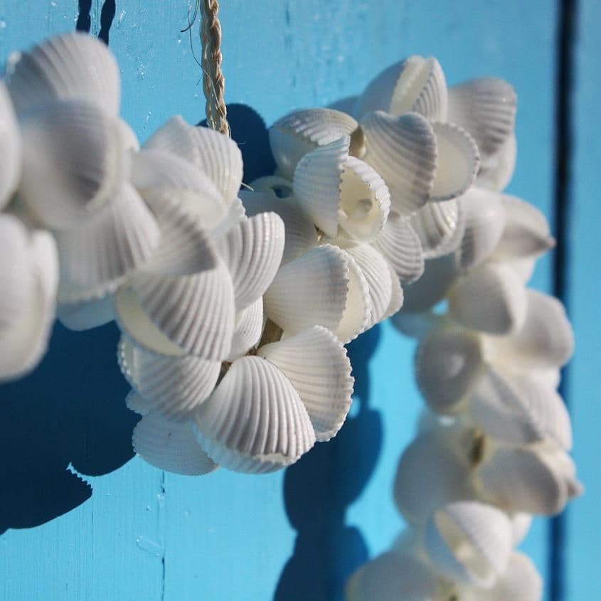 Heart Shaped Cockle Shell Wreath