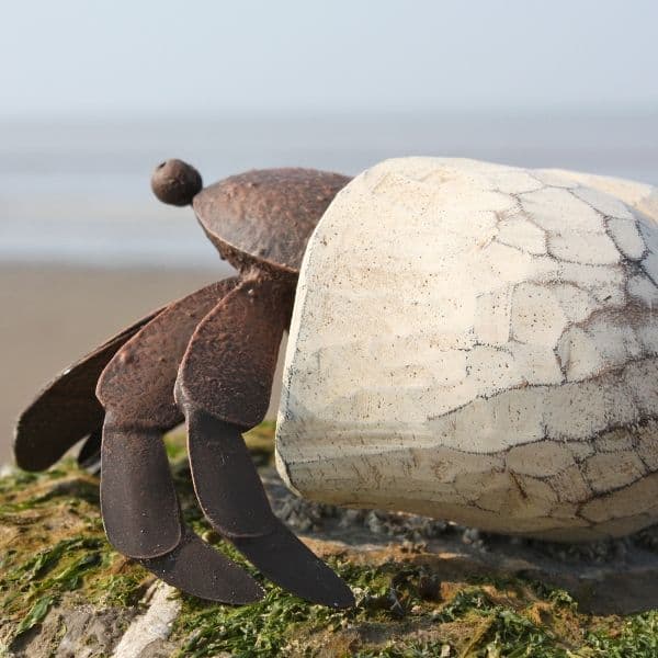 Hermit Crab