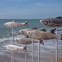 Herring Shoal Fish Sculpture | Hand Carved Wooden Fish