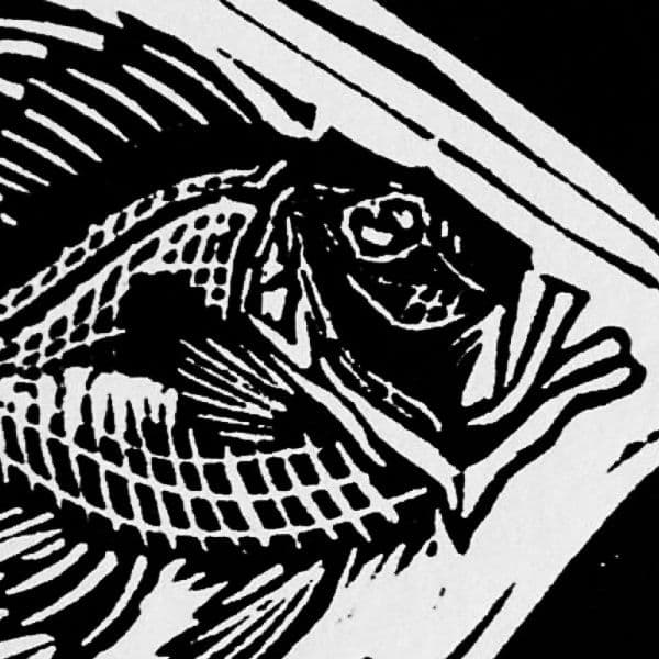 John Dory - Linocut