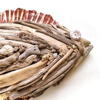 Large Driftwood Fish | Wall Hanging | Rachel White
