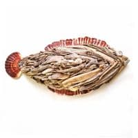 Large Driftwood Fish | Wall Hanging | Rachel White