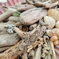 Large Driftwood Fish | Wall Hanging | Rachel White