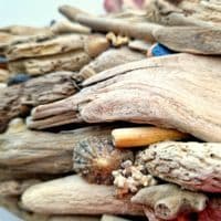 Large Driftwood Fish | Wall Hanging | Rachel White