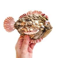 Little Driftwood Fish |Rachel White