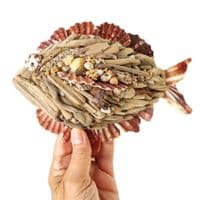 Little Driftwood Fish |Rachel White