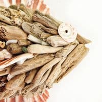 Little Driftwood Fish Wall Hanging |Rachel White