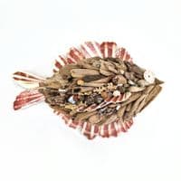Little Driftwood Fish Wall Hanging |Rachel White