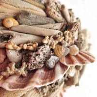 Little Driftwood Fish Wall Hanging |Rachel White