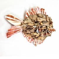 Little Driftwood Fish Wall Hanging |Rachel White