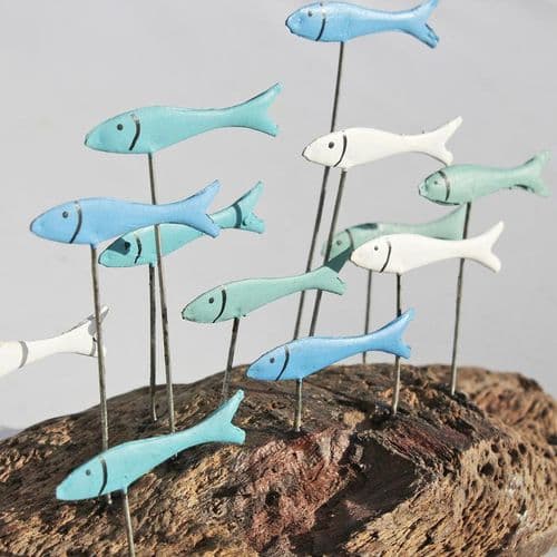 Little Fish Shoal on Driftwood