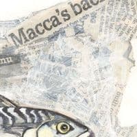 Macca | Original Print |Tracy McKenna