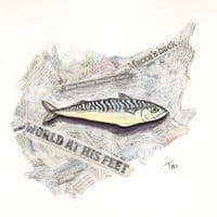 Macca | Original Print |Tracy McKenna