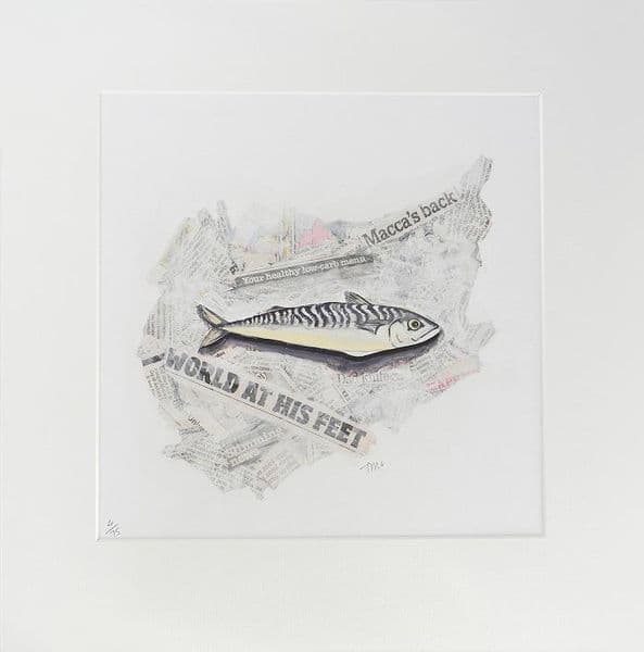 Macca | Original Print |Tracy McKenna