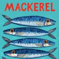 Mackerel – A3 print
